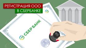 Как открыть ООО через СберБанк в Аптека Миницен
