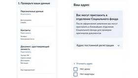 Как подать заявление на родовые выплаты через Госуслуги в Аптека Миницен