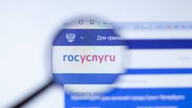 Как получить справку о кредитной истории через Госуслуги в Аптека Миницен
