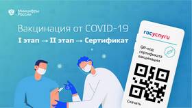 Как сканировать QR-код на Госуслугах в Аптека Миницен