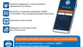 Как войти в личный кабинет ФНС в Аптека Миницен
