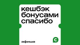 Как выбрать кэшбэк СберСпасибо в Аптека Миницен
