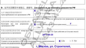 Как заполнить анкету на визу в Индию в Аптека Миницен