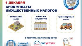 Почему платят налоги государству в Аптека Миницен