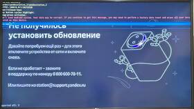 Поддержка Яндекс Про не отвечает: что делать в Аптека Миницен