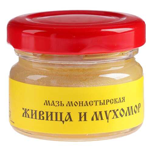 Мазь Монастырская Бизорюк Фабрика здоровья Живица с мухомором 25 мл в Аптека Миницен